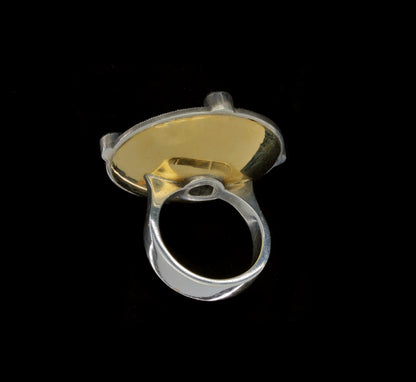ROUGE DISK RING